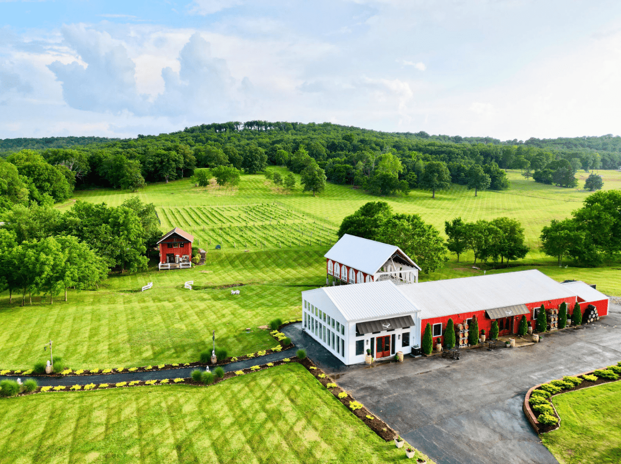 Sassafras Springs Vineyard