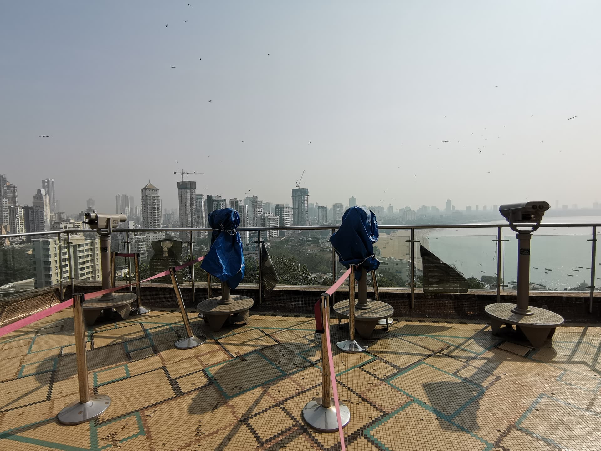 Malabar Hill Forest Walkway