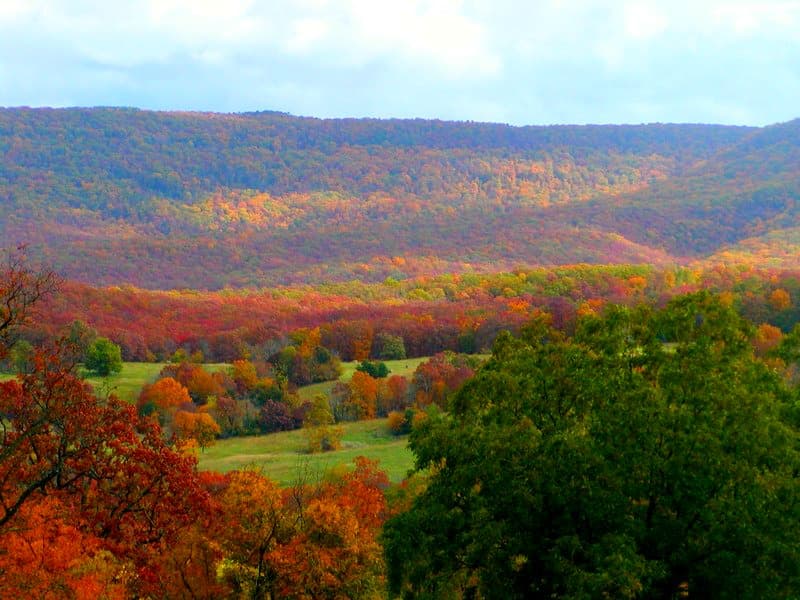 Northwest Arkansas Land Trust — Office