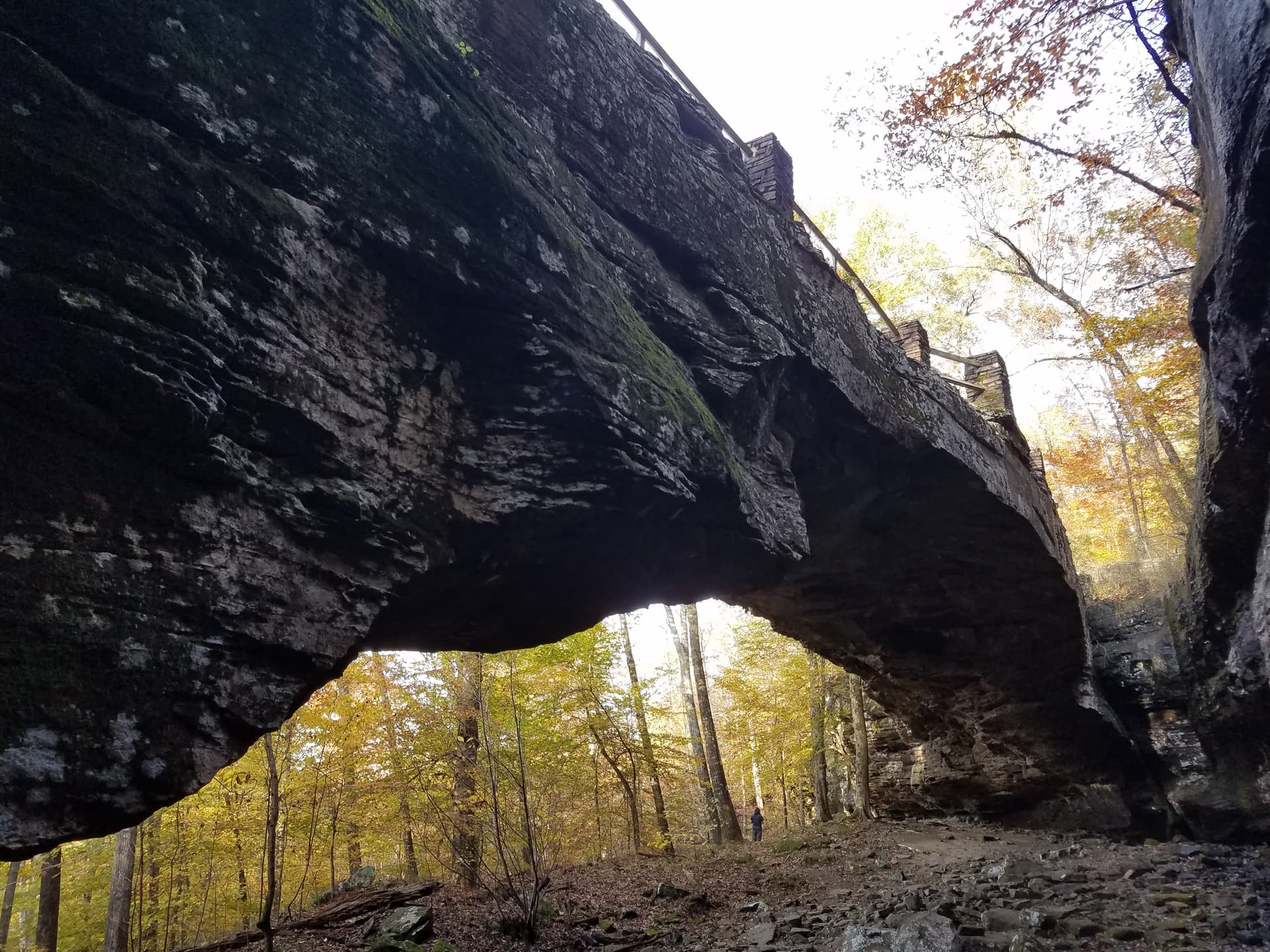 Alum Cove Natural Bridge